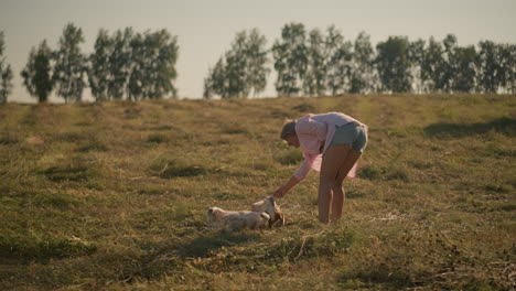 dueño del perro en camisa rosa y pantalones cortos entrenando al perro para rodar en tierras de cultivo, con el perro siguiendo con entusiasmo las instrucciones, la lengua fuera, con un clima soleado brillante, el fondo presenta árboles distantes