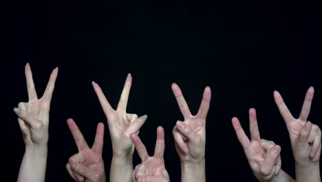 hands making v-sign gesture