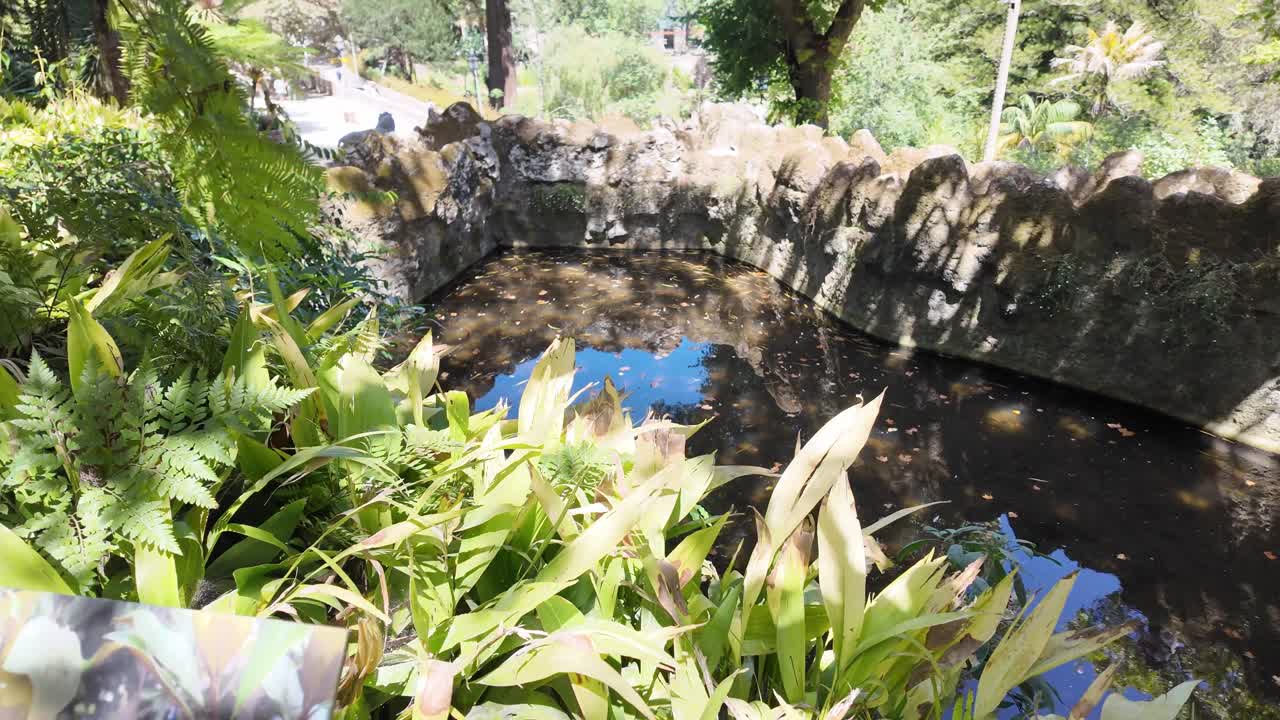 Lush greenery and ancient stone features in Sintra's Quinta da Regaleira garden