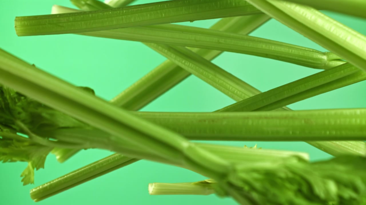 Fresh Green Celery Stalks Falling and Rotating Against a Green Background