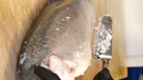 preparación de salmón crudo