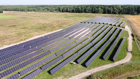 lines of solar cell panels in flatlands meadows on sunny day, aerial view