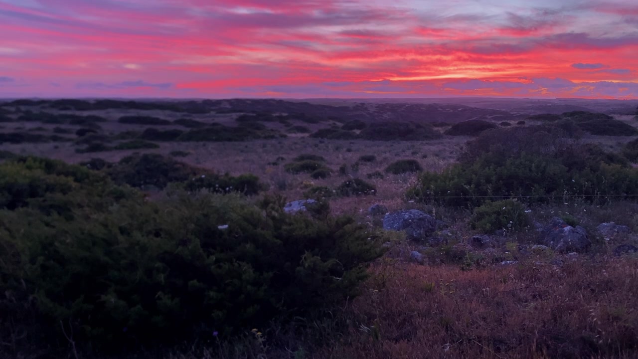Ampio paesaggio costiero sotto un tramonto vibrante rosa e arancione, che mostra arbusti bassi ed erba secca.