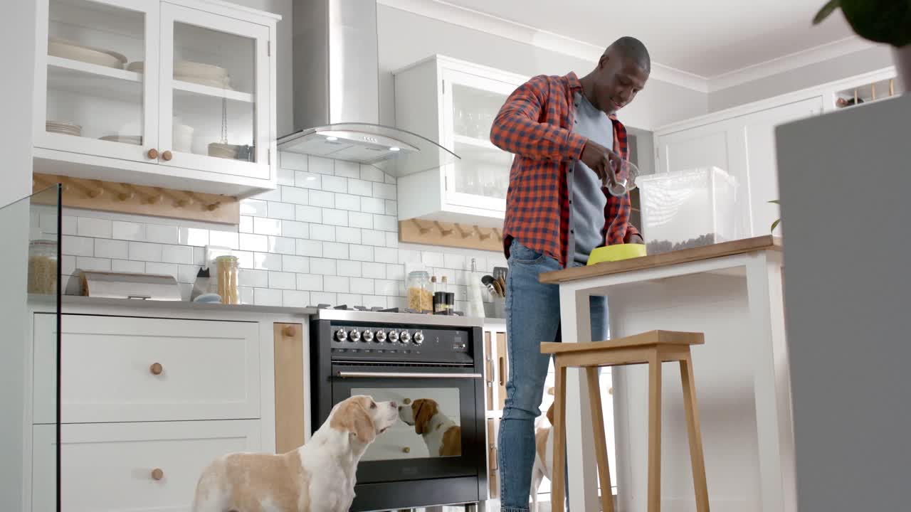 African american man giving food to his pet dogs in kitchen at home, slow motion