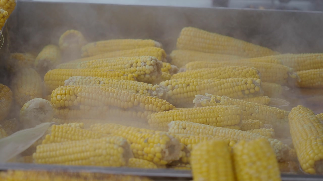 Hot Steaming Sweet Corn Cobs Ready to Eat