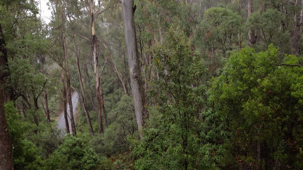 imágenes de mano en el mirador de scammells ridge en el camino alpino en un día nublado y lluvioso