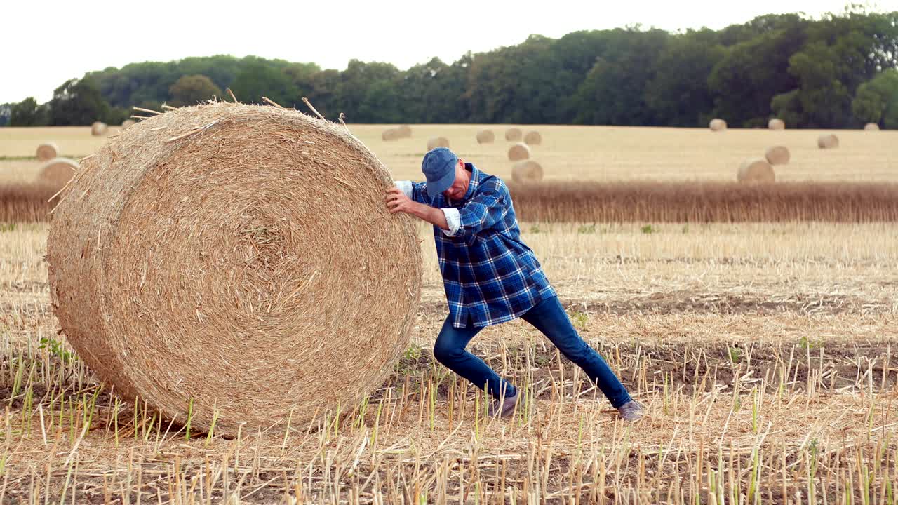 농장에서 건초 베일을 굴리는 동안 고군분투하는 농부