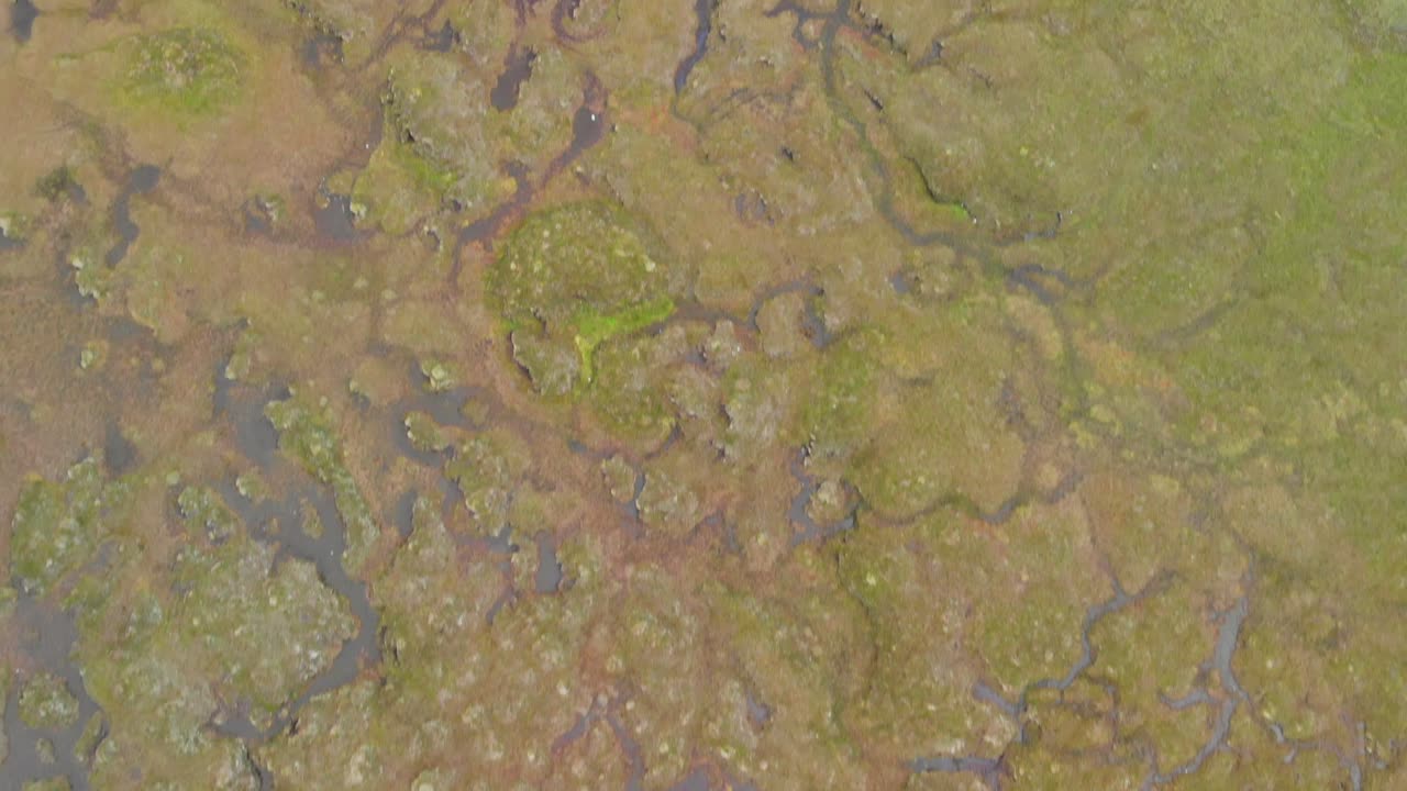 Top down aerial shot of wet grass lands in Scotland.
