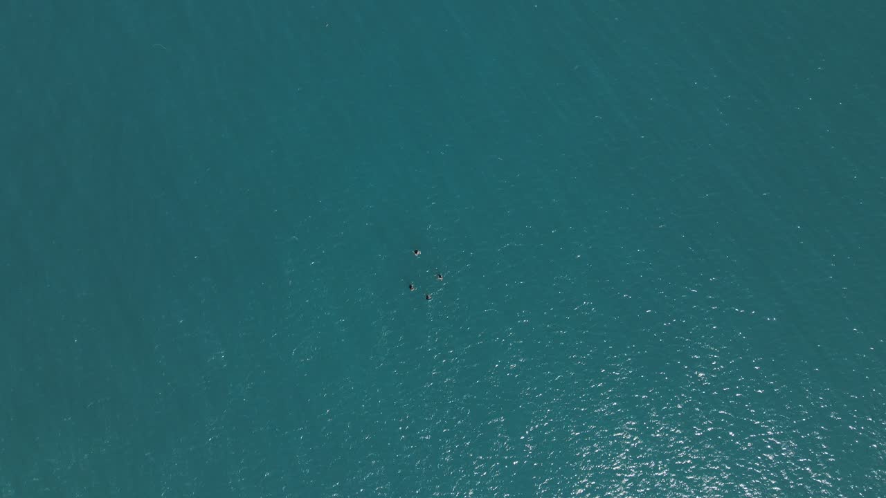 수영하는 사람들 머리 위의 드론