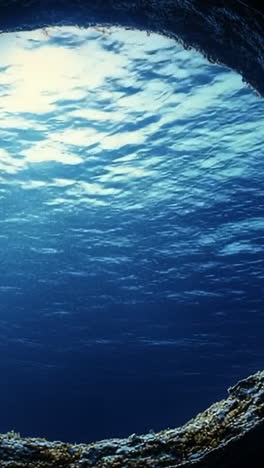 view of underwater world from a cave. light filters through water above a circular opening, revealing marine life and tranquil blue depths below.