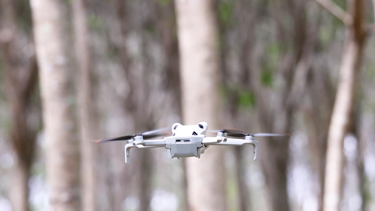Quadcopter drone hovers and moves forward among rubber trees, daylight, steady camera, natural setting
