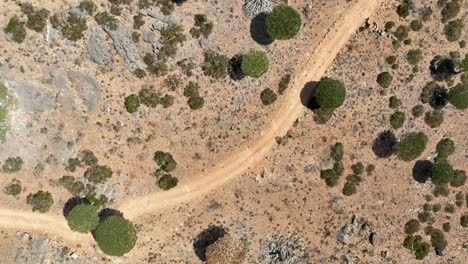 Vista-De-Pájaro-Sobre-El-Bosque-De-Firhmin-En-Socotra,-Yemen-Durante-El-Día---Disparo-De-Drone