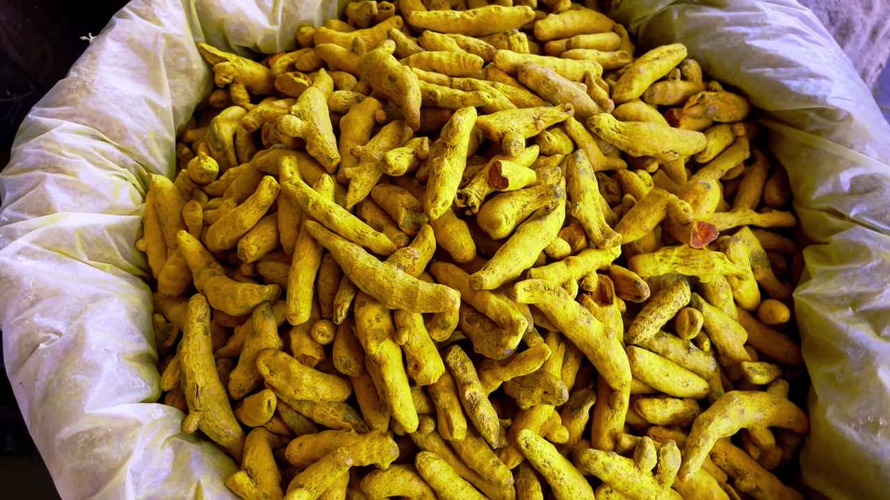 Close up view of whole turmeric roots displayed in a large sack at a traditional market in Indore Madhya Pradesh India used as a spice and natural ingredient in cooking.