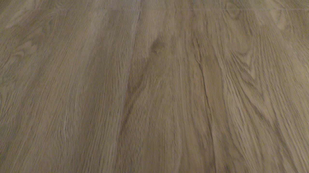 Wood floor and flooring with going over it and light falling from angles