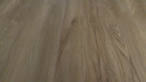 wood floor and flooring with going over it and light falling from angles