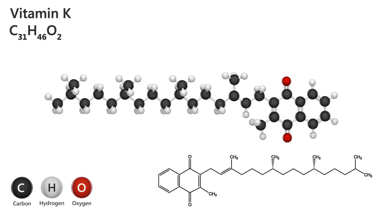 비타민 k (phylloquinone) 의 원활한 순환.