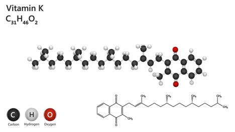 vitamin k (phylloquinone). seamless loop.