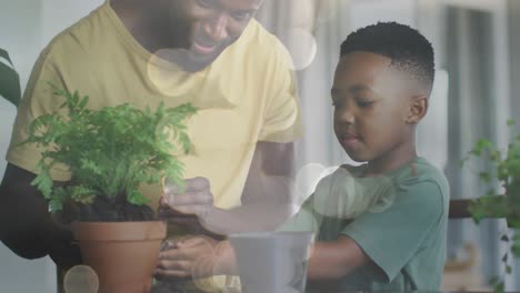 animation of lights over happy african american father and son taking care of houseplants