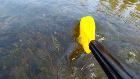 rowing oar point of view in a river propelling a raft forward.
