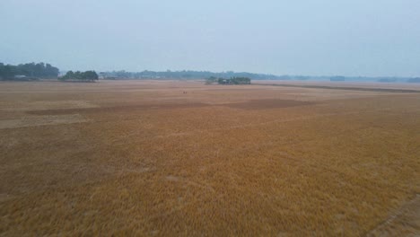 Drone-captures-low-flight-over-dry-farmland