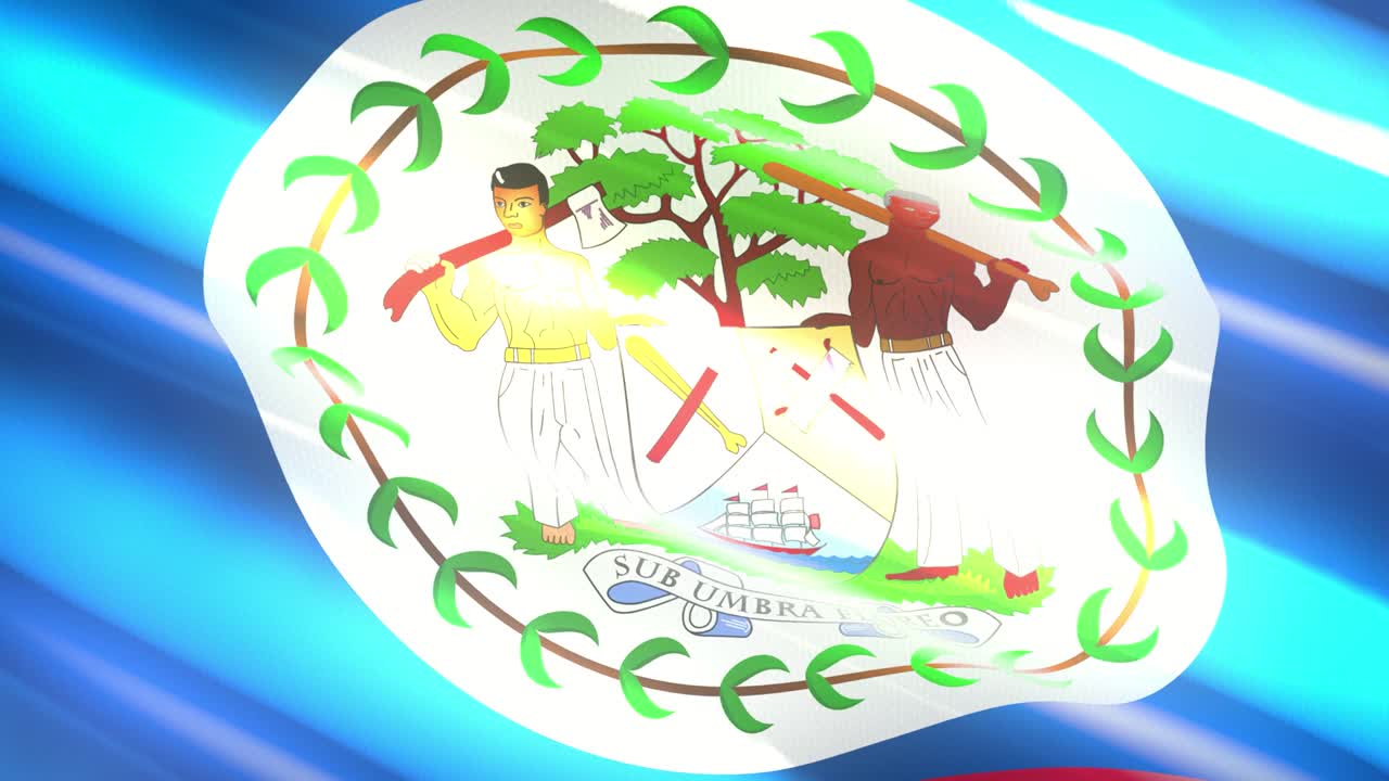 Belize holiday flag - loop animation
