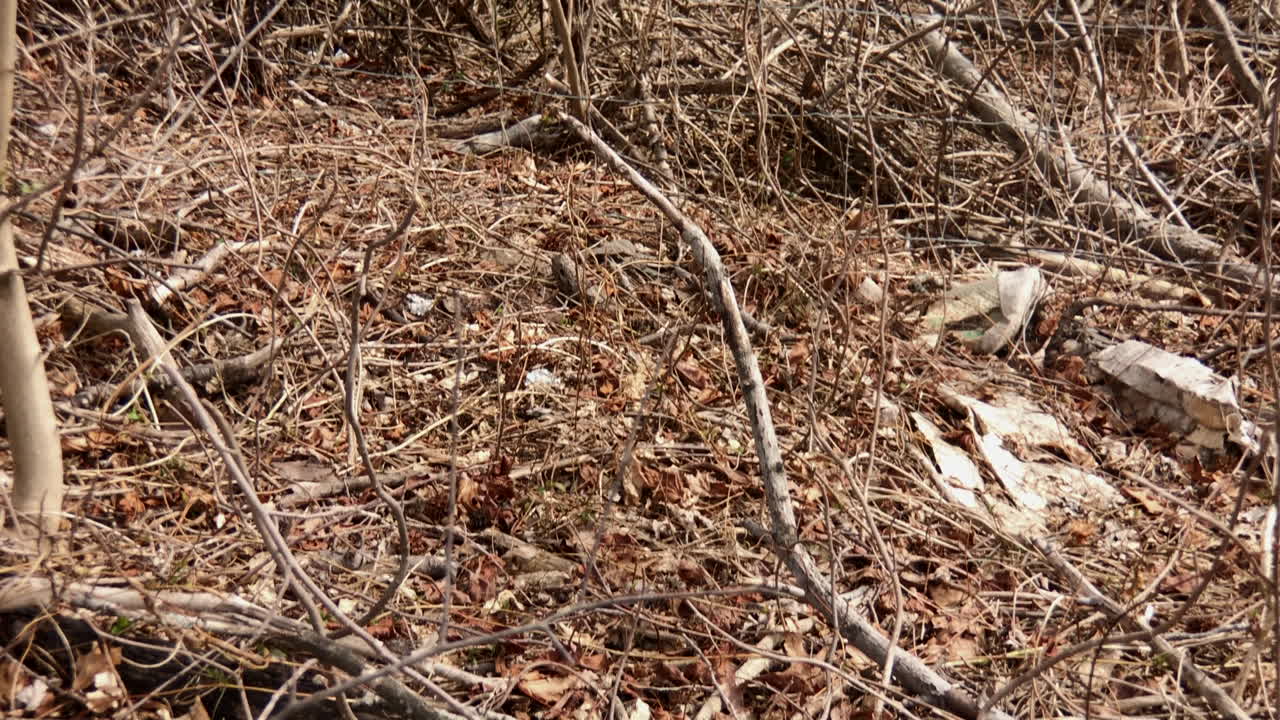 울타리에 서명은 위험 위험 영역을 나타냅니다.