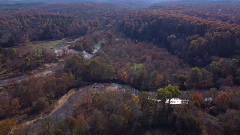 aerial view of forest trees and creekbed in autumn