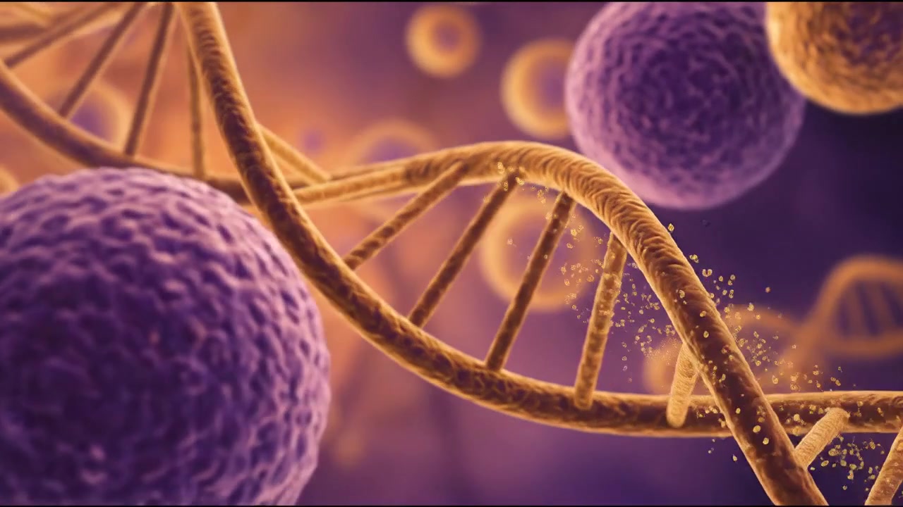 Molecular DNA and cellular structure