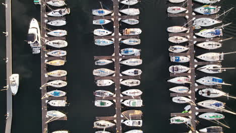 sailboats at a calm dock marina from the top view of yachts