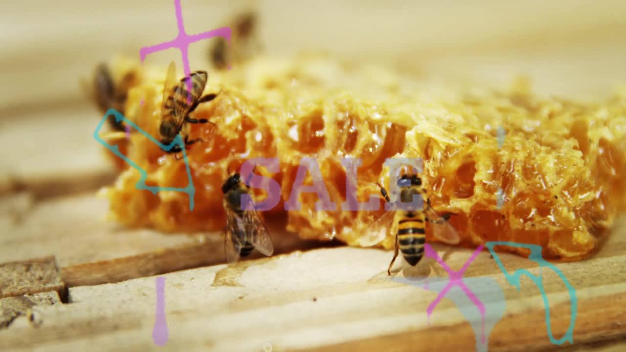 Animation of bees gathering on honeycomb with colorful sale text overlay