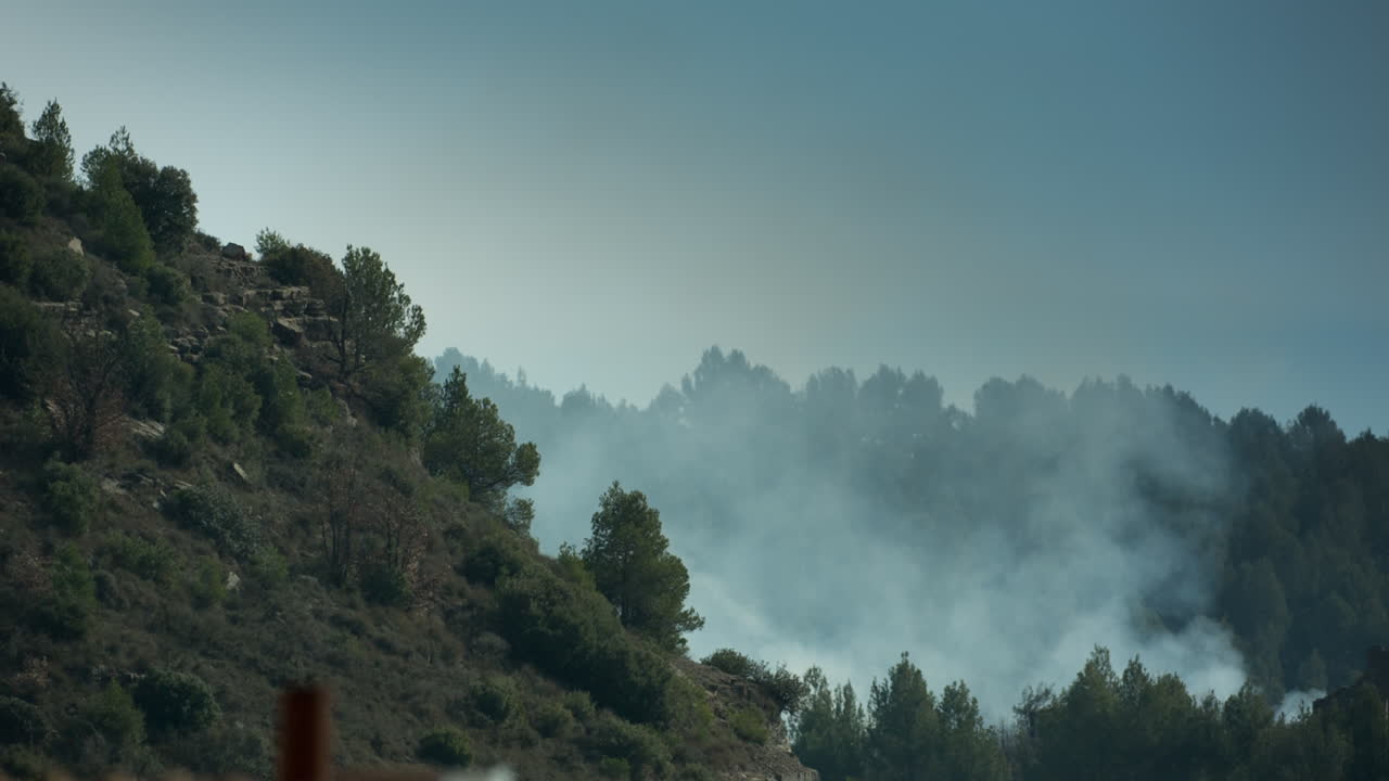 incendio forestal 02