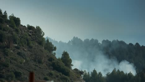 incendio forestal 02