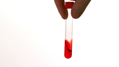 hand swirling test tube of blood on white background