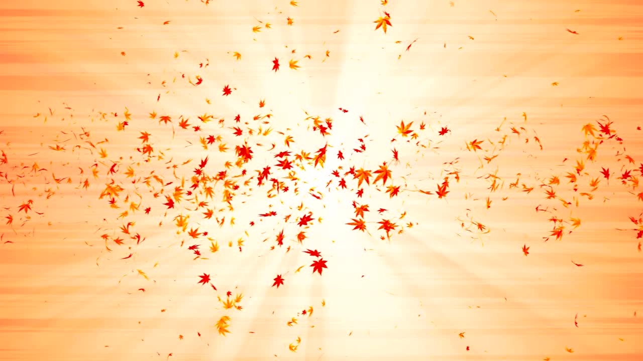 다채로운 메이플과 잎에서 나온 소용돌이, 가을 잎의 나선형 반이는 입자, 춤추는 잎, 다채로운 자연 터널 루프 애니메이션.