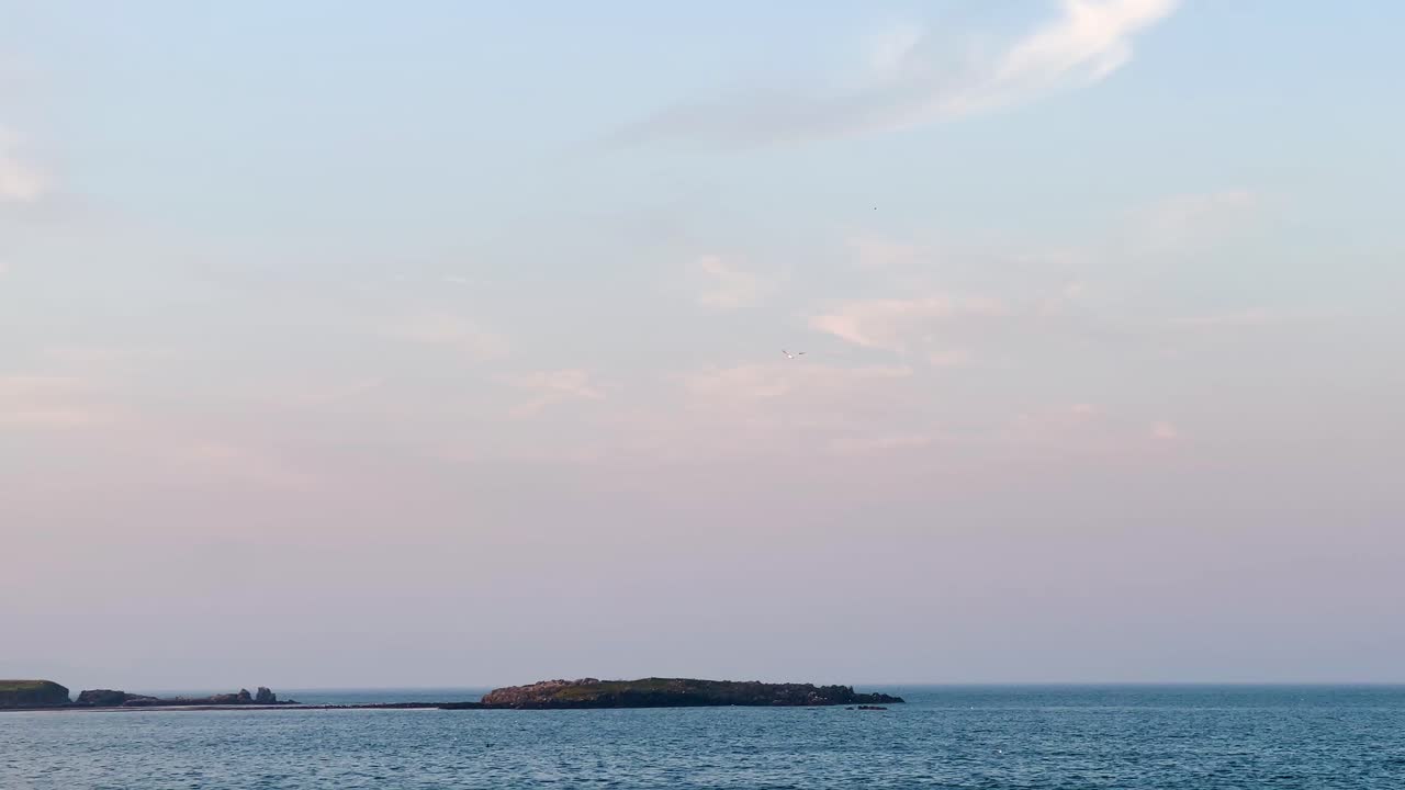 Golden Hour Serenity: Seagull Soaring Over Howth Pier, Ireland, Embracing Nature's Beauty and Maritime Tranquility at Sunset With Ireland's Eye In The Background