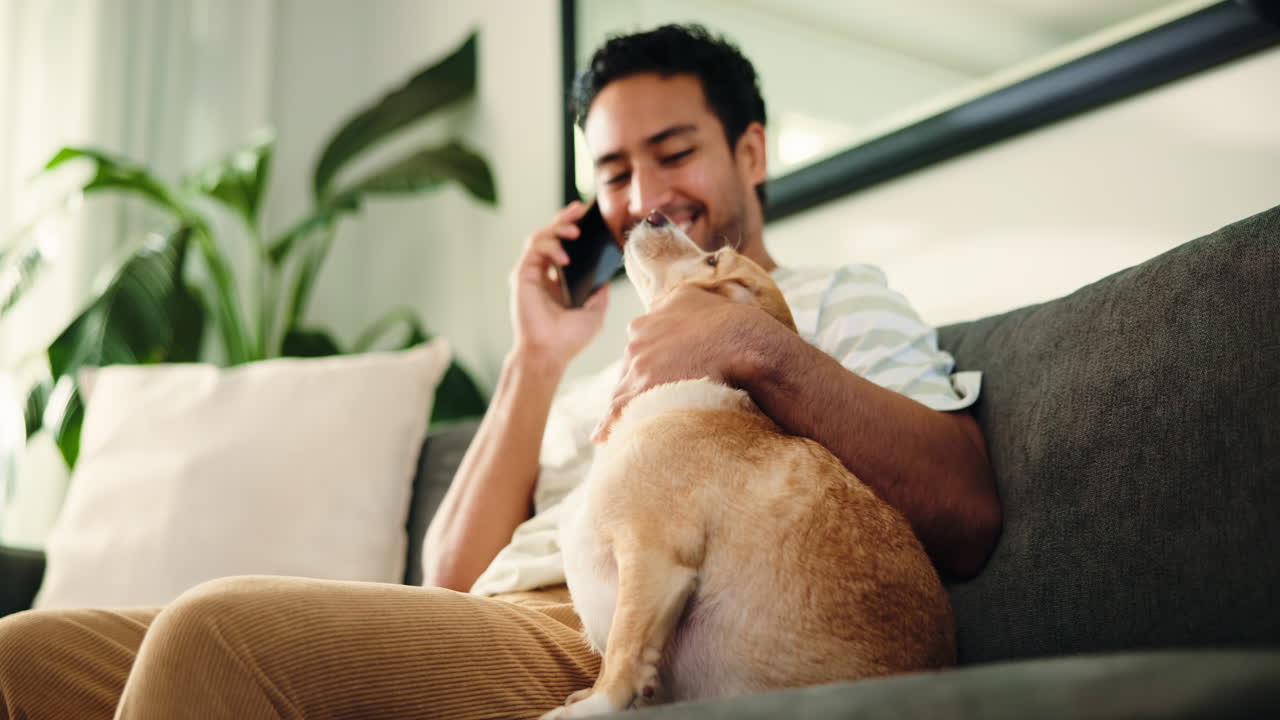 ソファで犬を抱きしめながら電話で話す男性