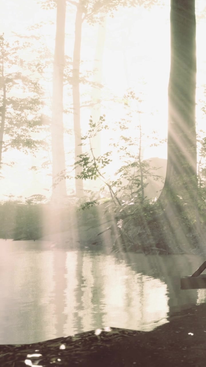 Light shines through trees by the water at dawn in a forest scene