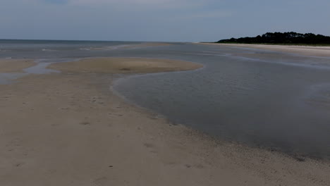 a wide, empty expanse of exposed sand stretches toward the ocean, with distant trees marking the separation between wild land and sea