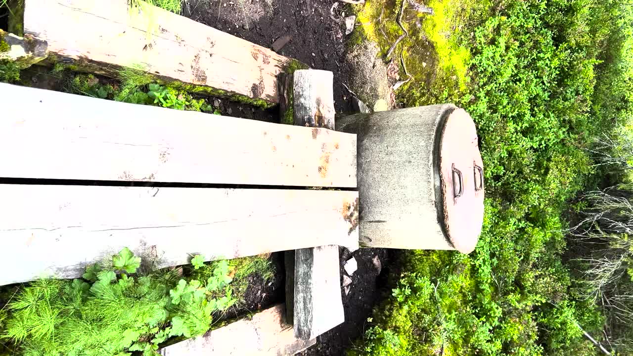 분수를 향해 나무 길을 걷고, pov