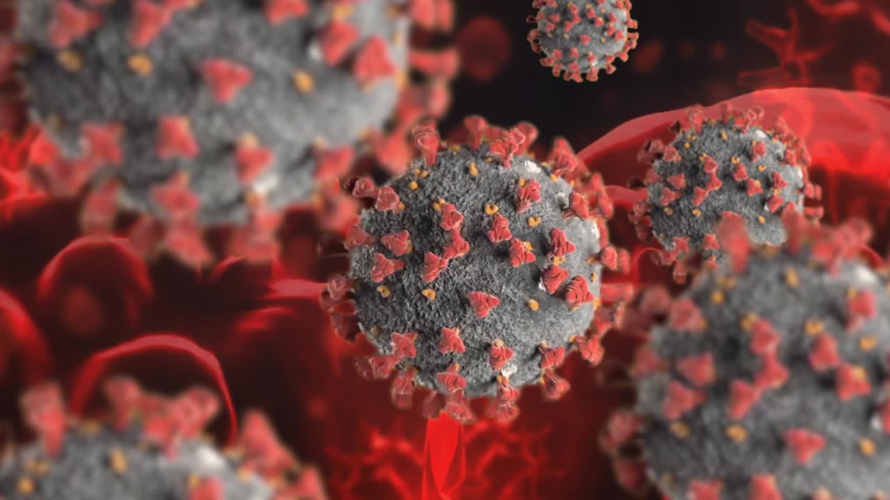 Coronavirus (COVID-19) Microscopic 3D Illustration