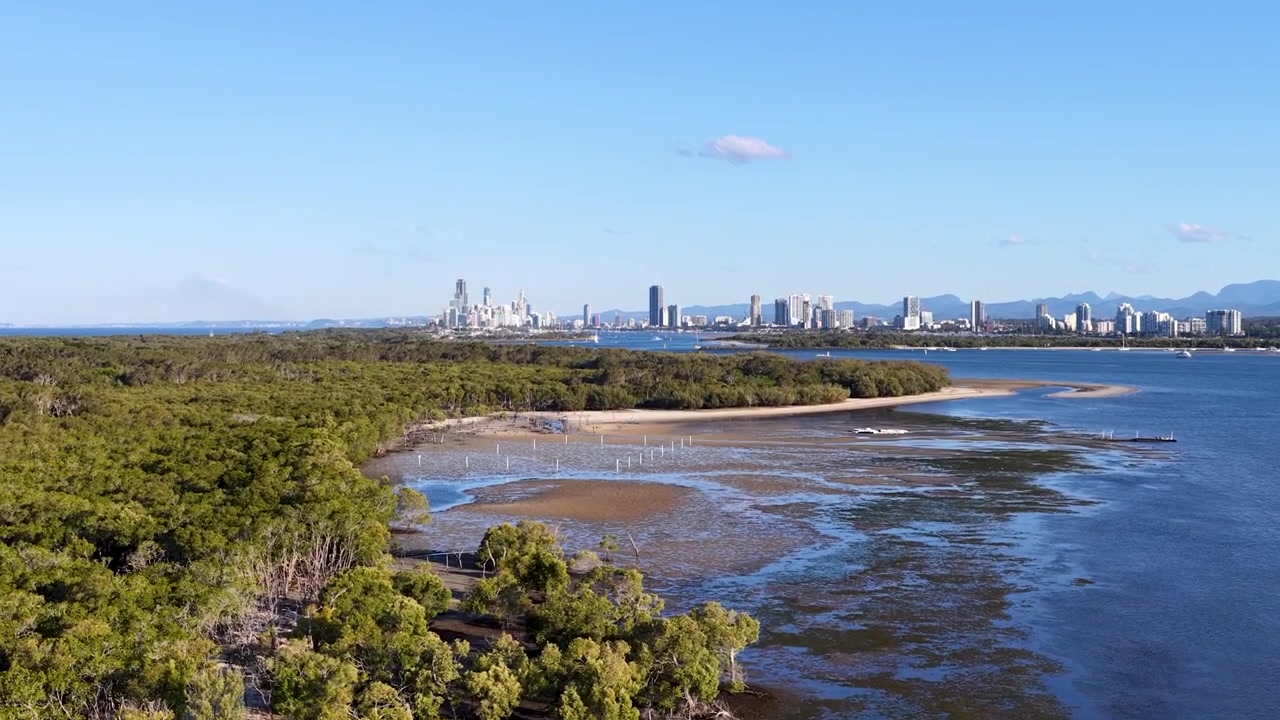 Ripresa aerea con drone su mangrovie tropicali e spiagge sabbiose a South Stradbroke Island, Australia