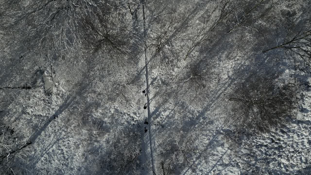 vista aérea de personas caminando en frío remoto bosque blanco helado y nieve