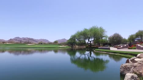 water hazard at greyhawk golf course, scottsdale, arizona