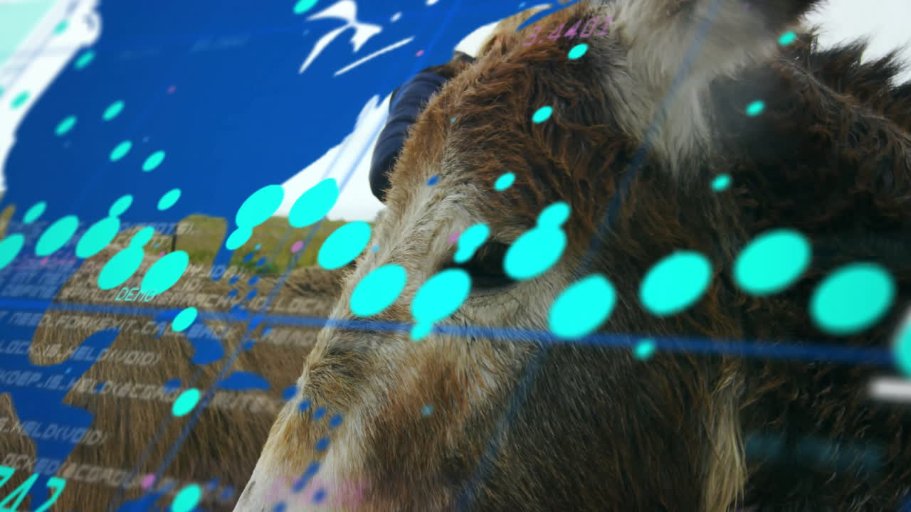 Donkey head merging field with holographic interface for tech demo, displaying floating cyan dots