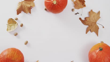 Video-of-pumpkins-with-acorns-and-autumn-leaves-on-white-background