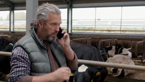 man having phone call and walking through dairy farm