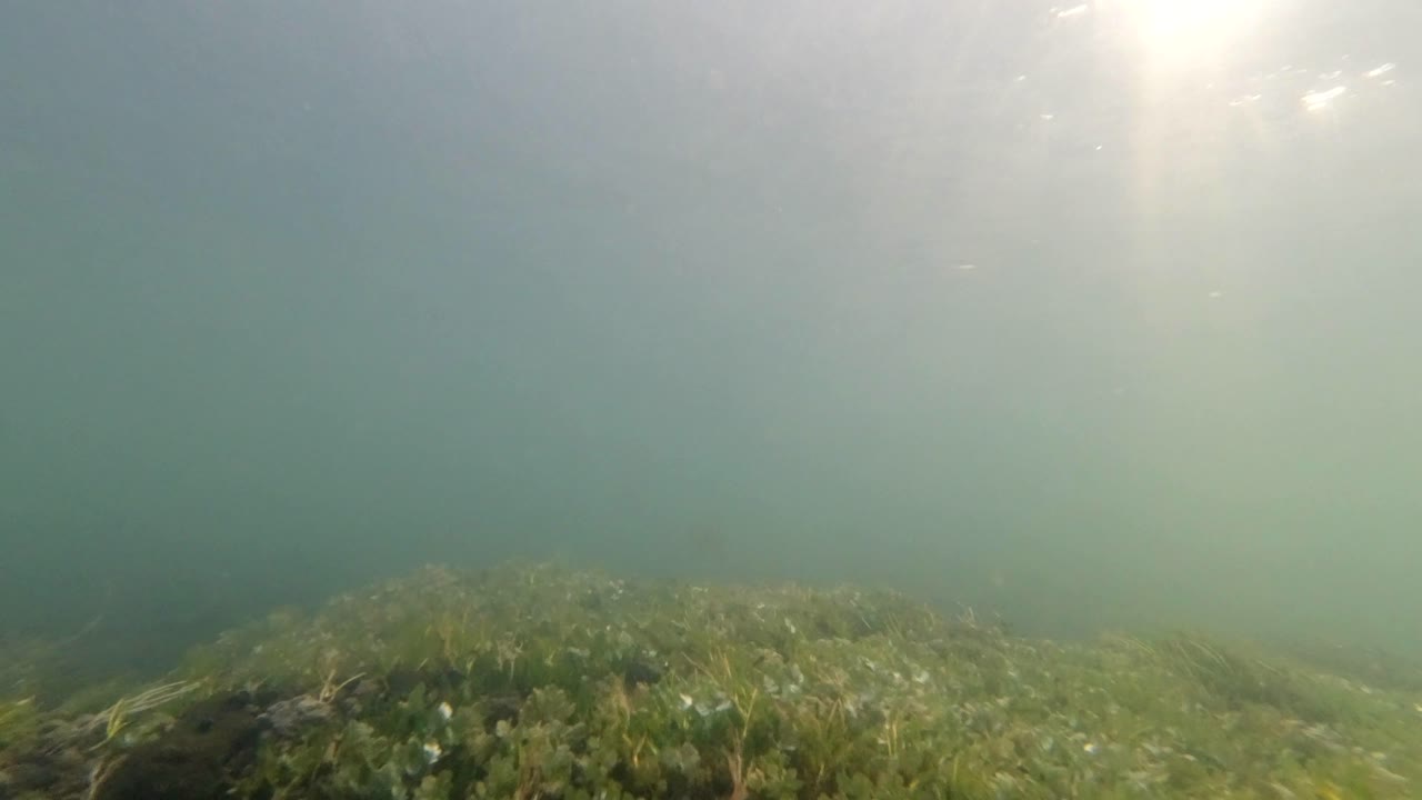 camera Floating under a river seeing light rays. and a river bed.