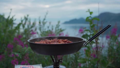 cooking food outdoors while camping - close up