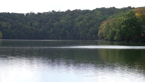 A-lake-with-a-shoreline-of-trees-in-early-autumn