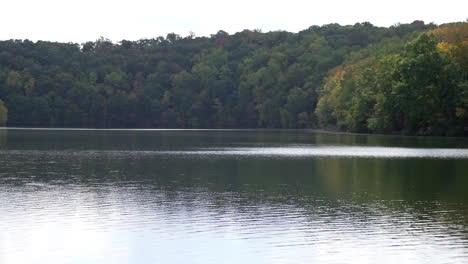 a lake with a shoreline of trees in early autumn